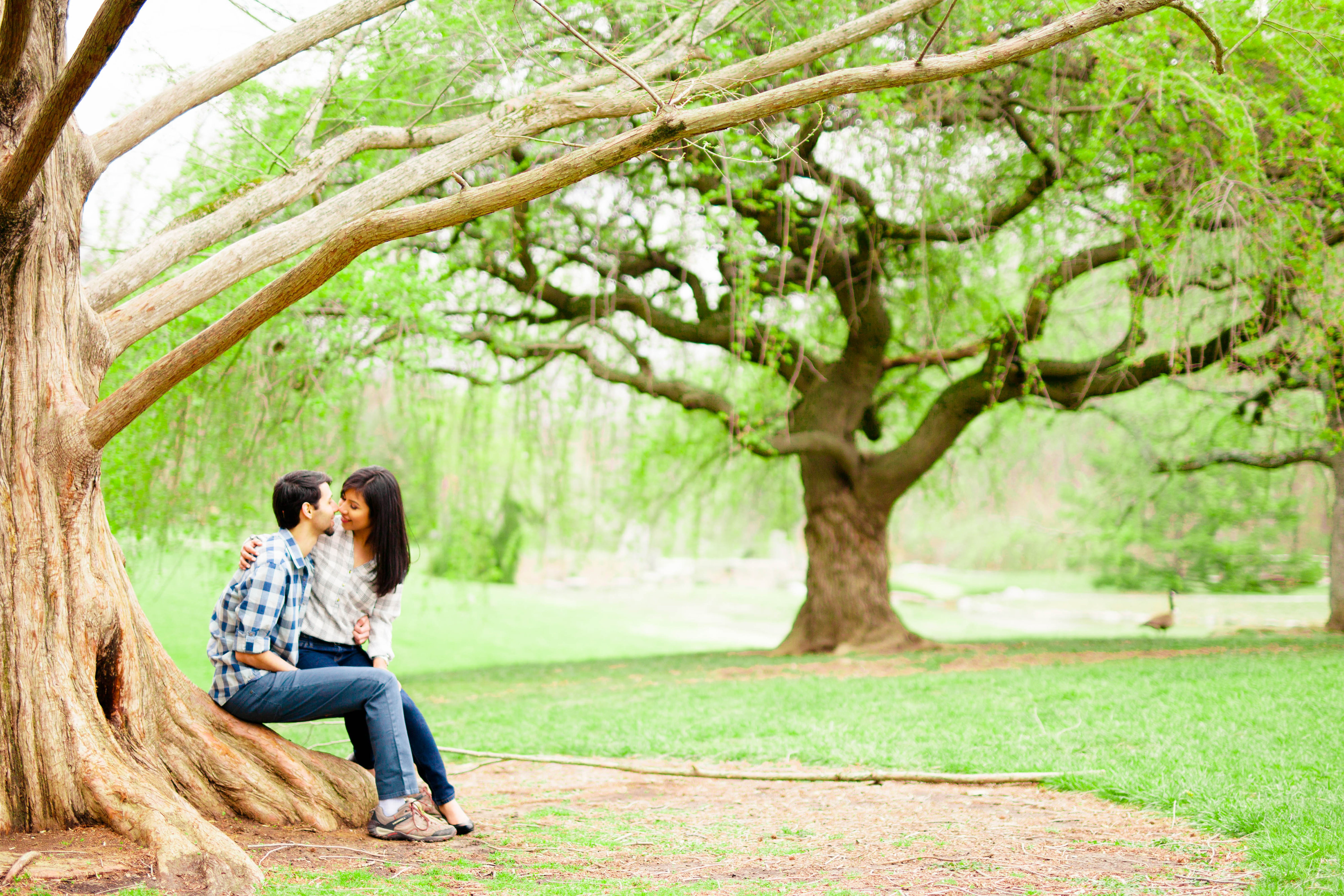 a couple sits underneath a tree kissing