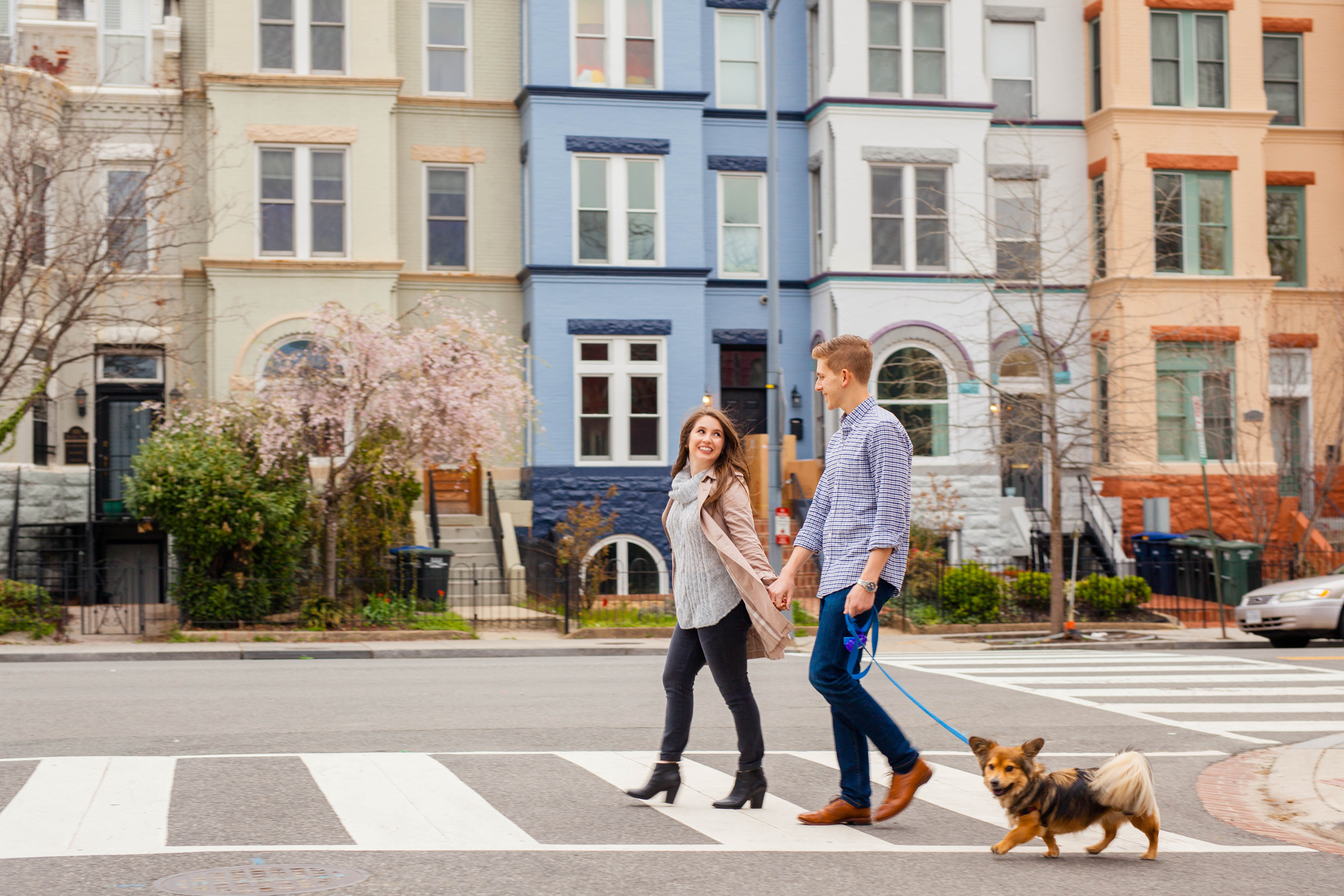 a couple walks across the street with their dog in a downtown dc neighborhood