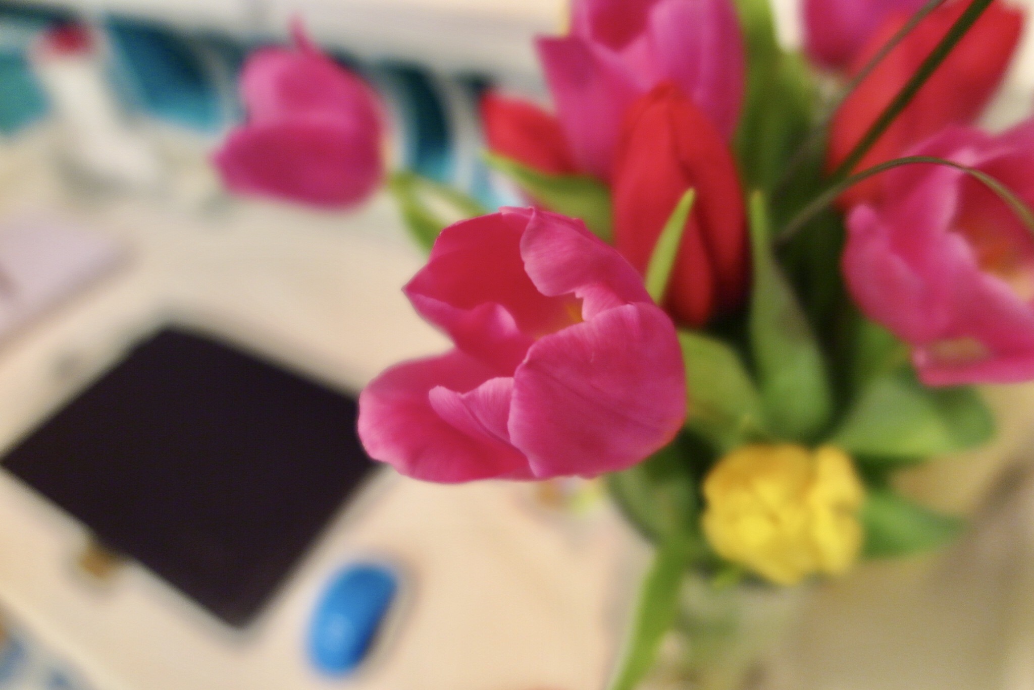 a pink tulip sits on a white desk